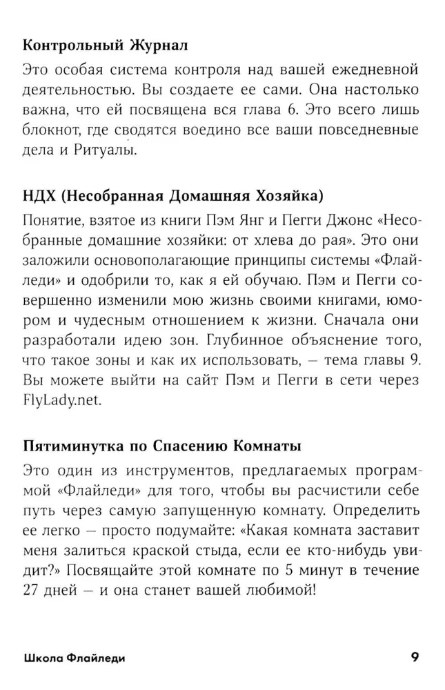 „FlyLady“ mokykla. Kaip įvesti tvarką savo namuose ir gyvenime