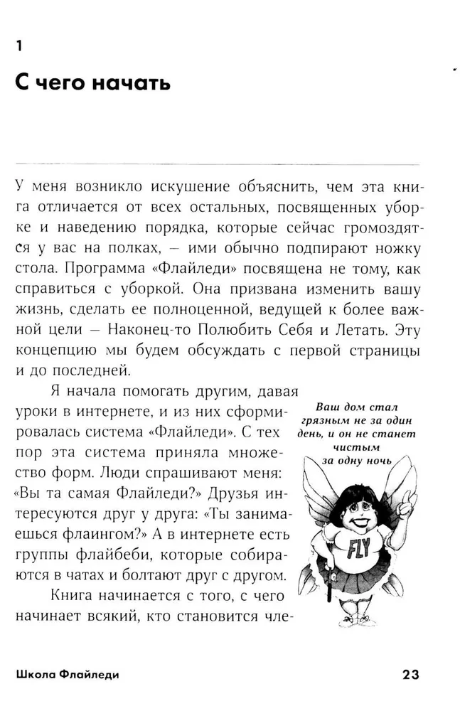 „FlyLady“ mokykla. Kaip įvesti tvarką savo namuose ir gyvenime