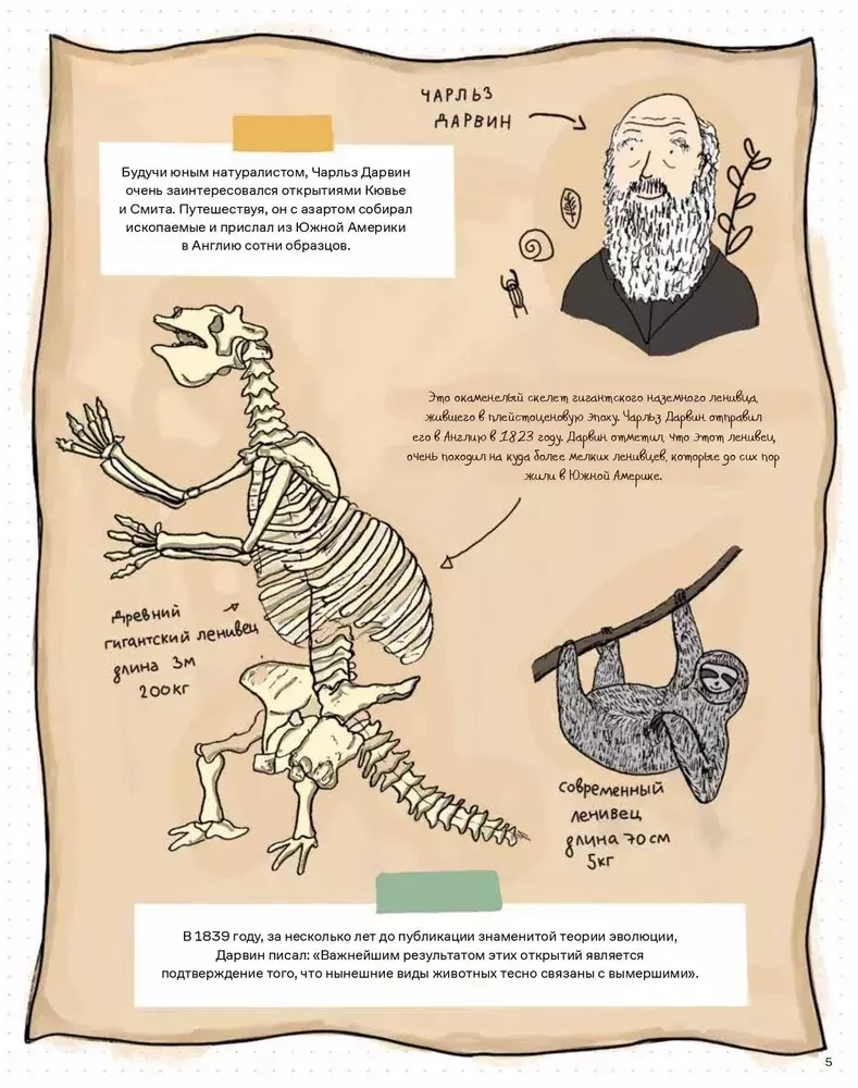Akmenys ir kaulai. Fosilijos ir jų pasakojamos istorijos