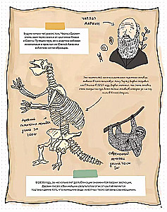 Akmenys ir kaulai. Fosilijos ir jų pasakojamos istorijos