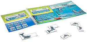 Magnetic Travel Game - Dolphins