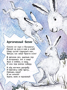 Skatieties, kur mēs dzīvojam!