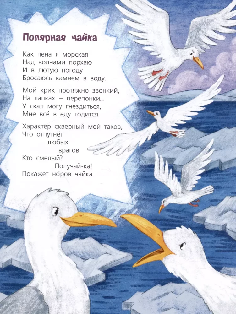 Skatieties, kur mēs dzīvojam!