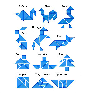 Logical Magnetic Puzzle Game - Tangram