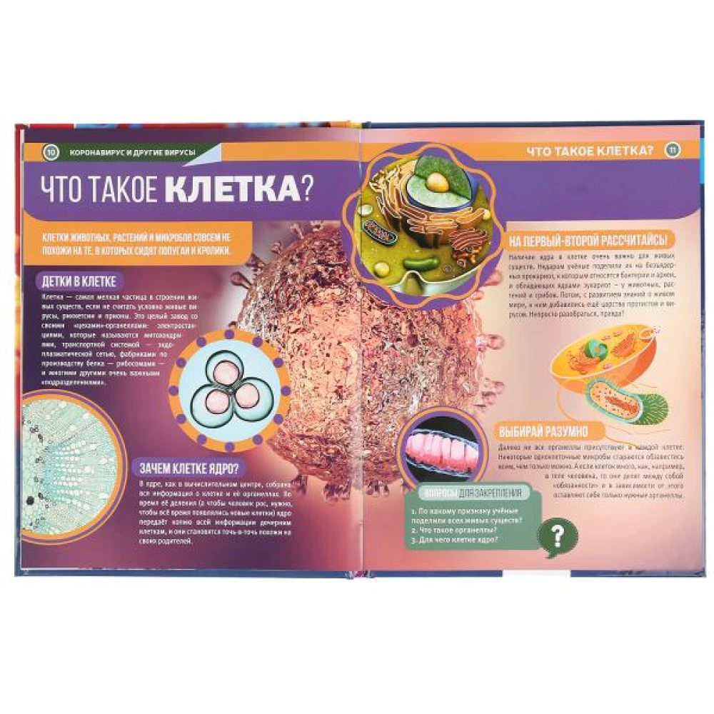Coronavirus und andere Viren. Enzyklopädie A4 mit Entwicklungsaufgaben