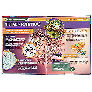 Coronavirus und andere Viren. Enzyklopädie A4 mit Entwicklungsaufgaben