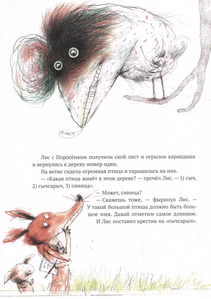 Leśna przygoda
