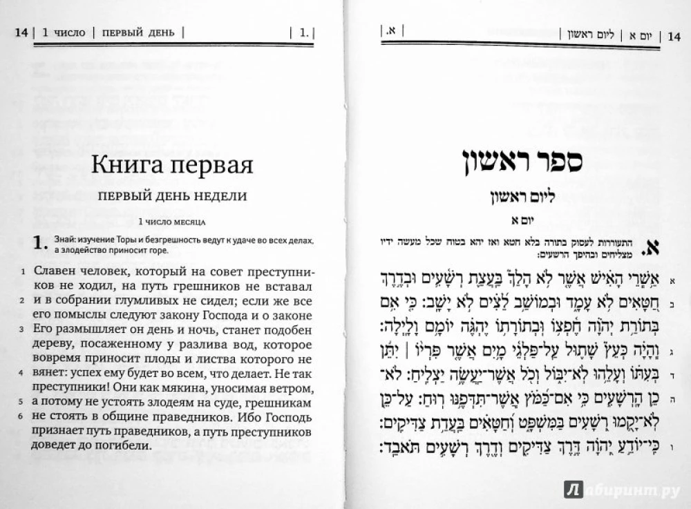 Psalmių knyga Tehilim