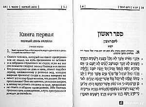 Psalmių knyga Tehilim
