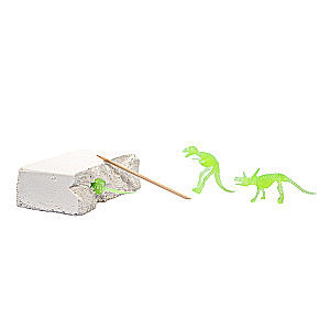 Young Paleontologist Set