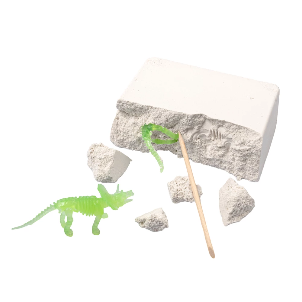 Young Paleontologist Set