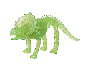 Young Paleontologist Set