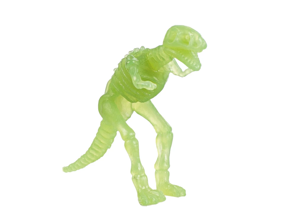 Young Paleontologist Set