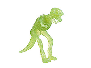 Young Paleontologist Set