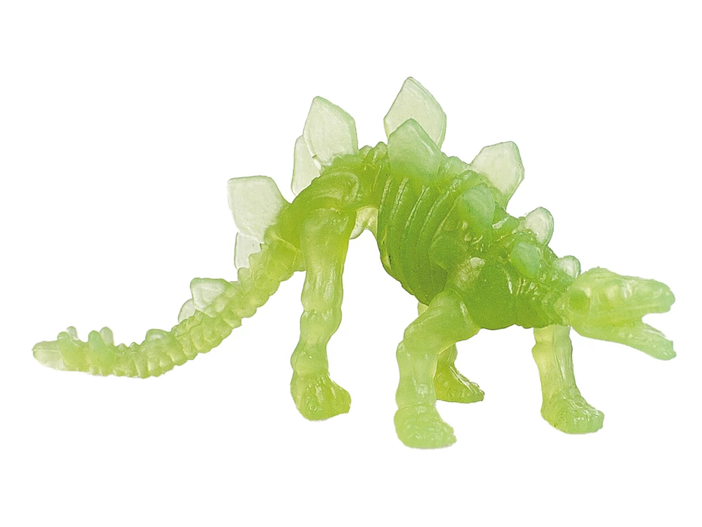 Young Paleontologist Set