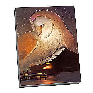 Painting by numbers - Barn owl, 40x50cm
