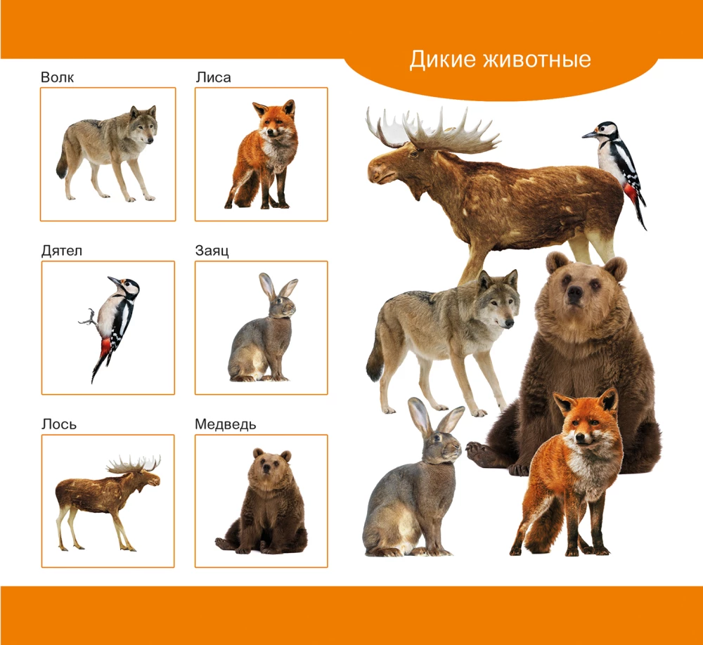 Wooden Lotto Domestic and Wild Animals