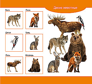 Wooden Lotto Domestic and Wild Animals