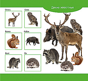 Wooden Lotto Domestic and Wild Animals