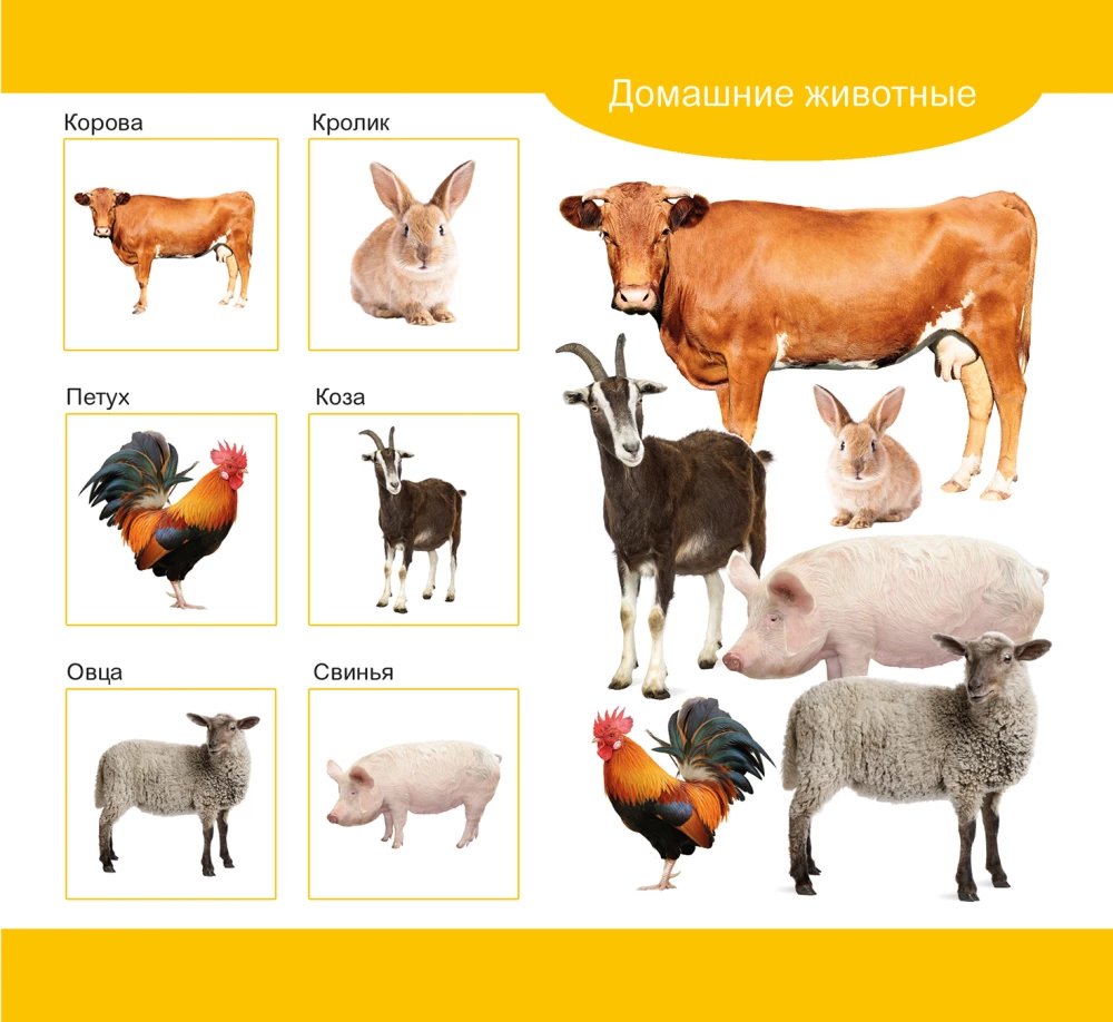Wooden Lotto Domestic and Wild Animals