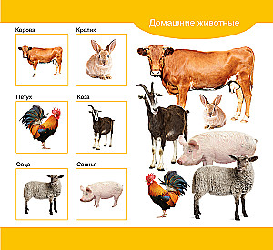 Wooden Lotto Domestic and Wild Animals