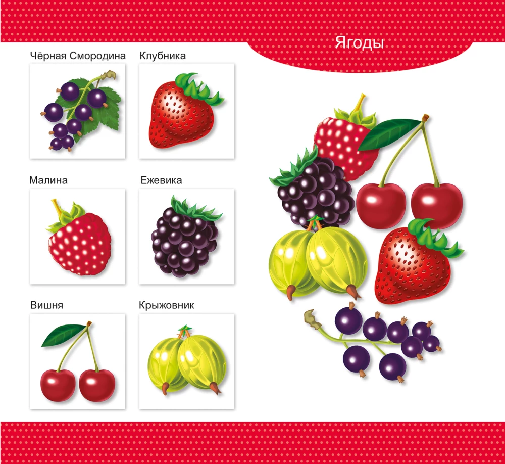 Wooden Lotto - Vegetables and Fruits