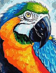 Zahlenmalerei mit Blattgold 15x20 - Ara Papagei