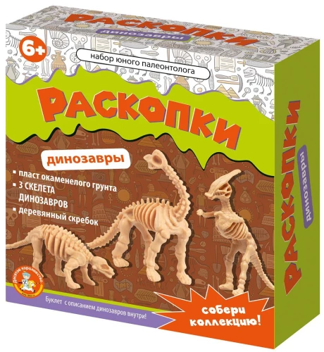 Set of a Young Paleontologist