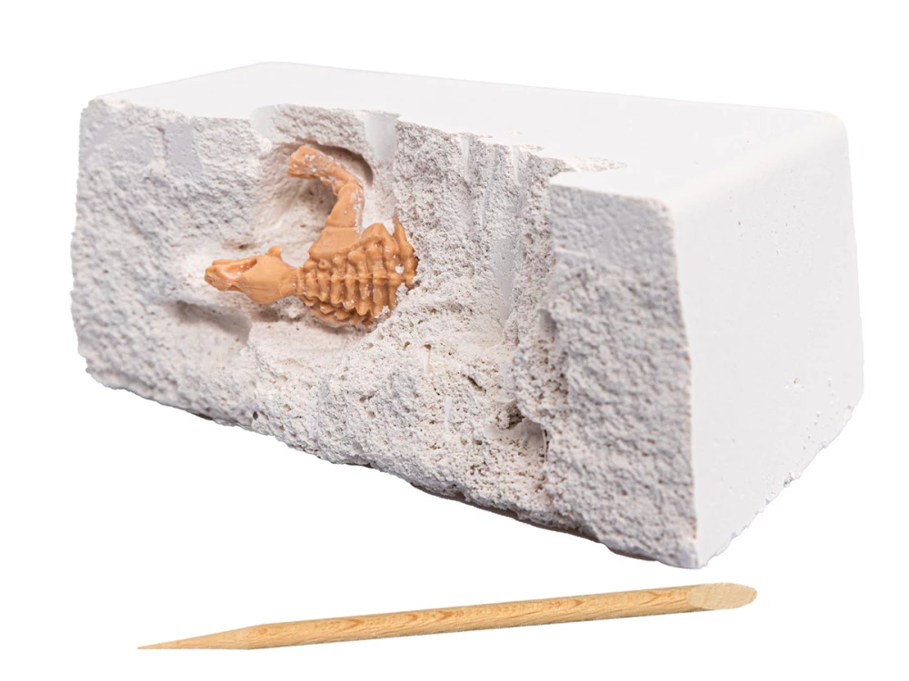Jaunojo paleontologo rinkinys