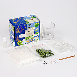 Set zur Herstellung einer Aromakerze aus zwei Wachssorten mit Trockenblumen Grüner Apfel