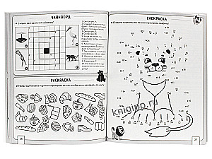 The Big Crossword Book. Crosswords and Puzzles