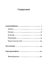 Unexpected Meetings. Anastasia Tsvetaeva, the Nabokovs, French Evenings