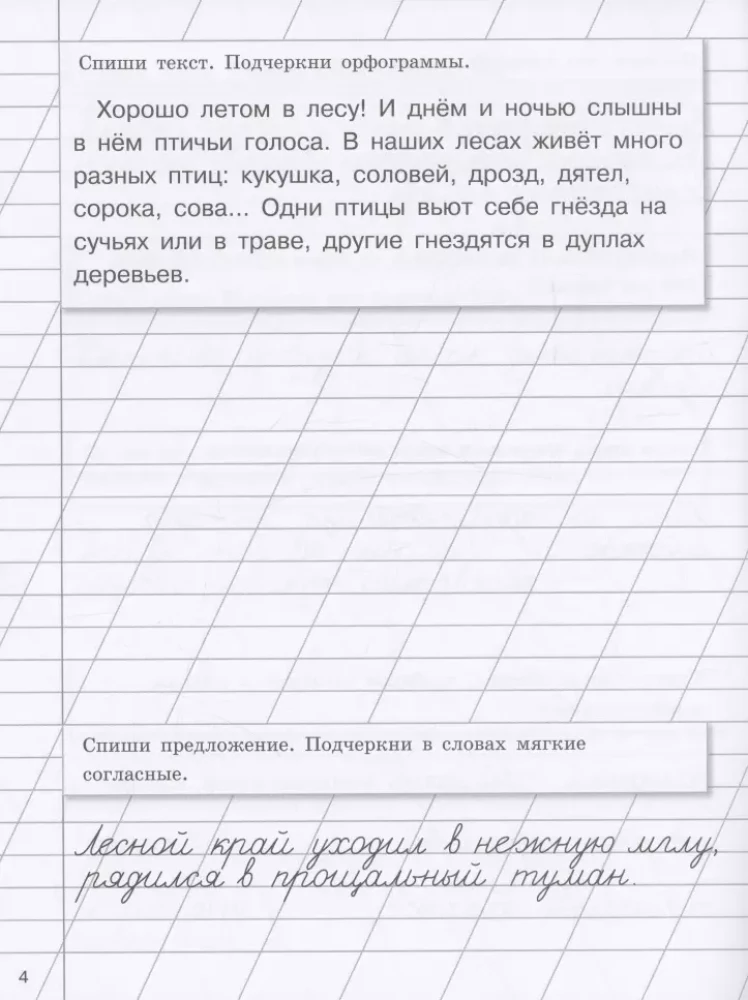 Ćwiczenia na wakacje z zadaniami ortograficznymi. Klasa 3