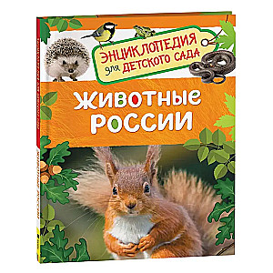 Zwierzęta Rosji