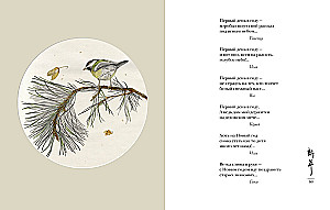 Świat w kropli rosy. Wiosna. Lato. Haiku na wszystkie czasy