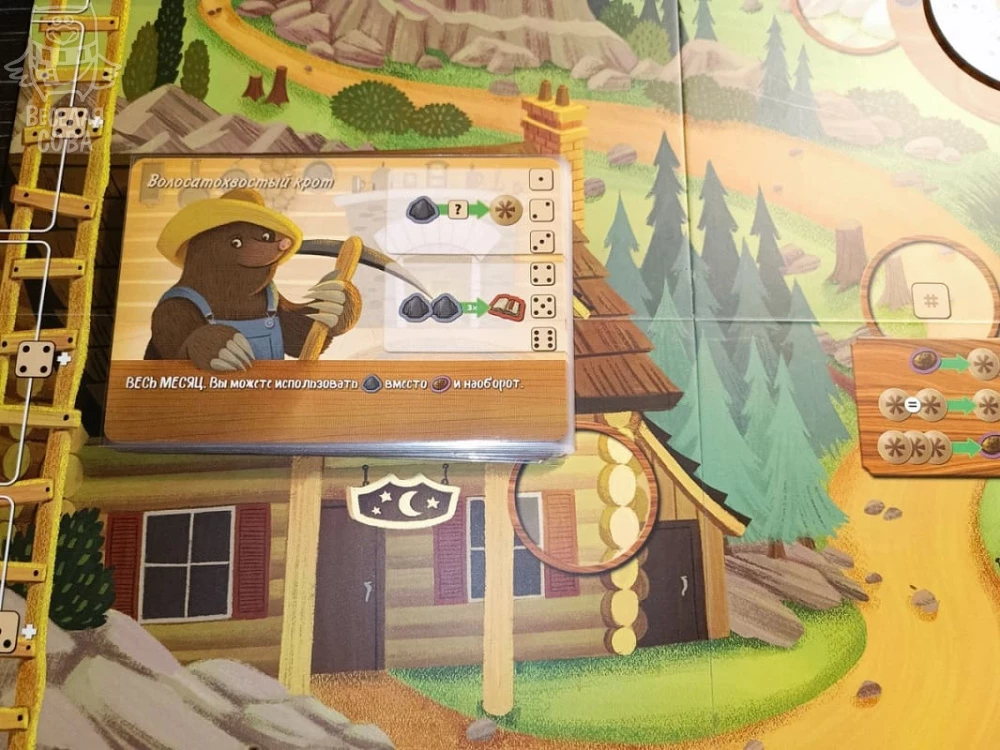 Brettspiel - Gemütliche Lichtung