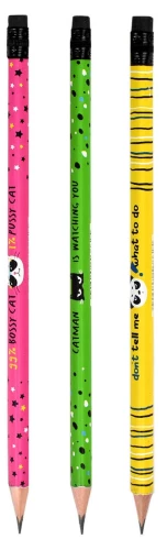 Graphite Pencil Your Message