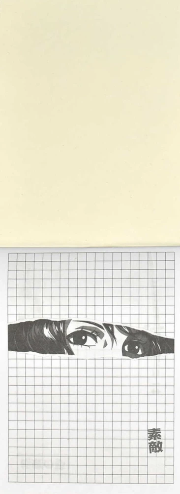 Notebook Photos