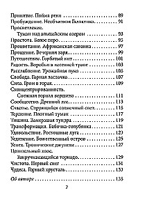 Dievišķā likteņa orakuls (52 kartes + instrukcija)