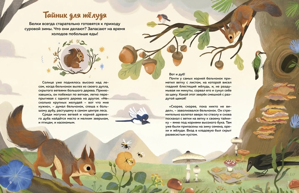 Kto mieszka w lesie? Ilustrowany atlas zwierząt