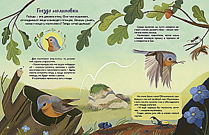 Kto mieszka w lesie? Ilustrowany atlas zwierząt