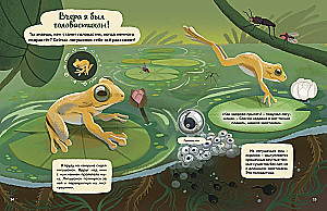 Kto mieszka w lesie? Ilustrowany atlas zwierząt