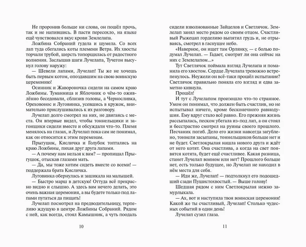 Katzenkrieger. Rache des Sternenstrahls. Wiedervereinigung. Buch 2