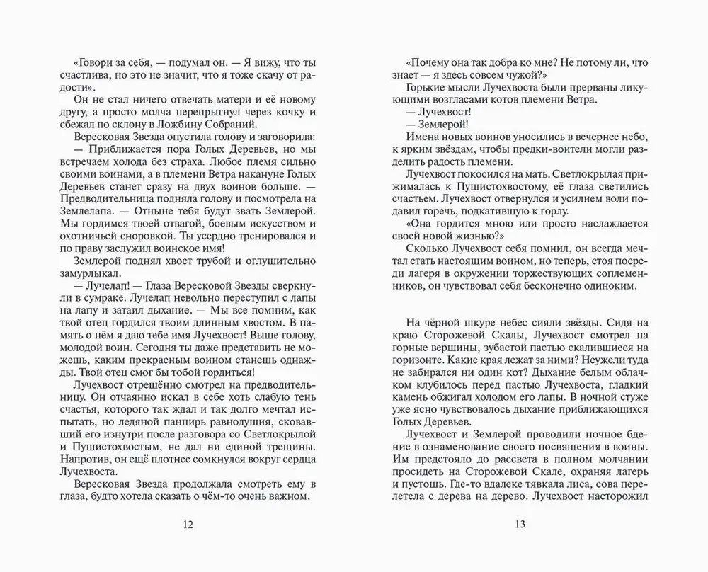 Katzenkrieger. Rache des Sternenstrahls. Wiedervereinigung. Buch 2