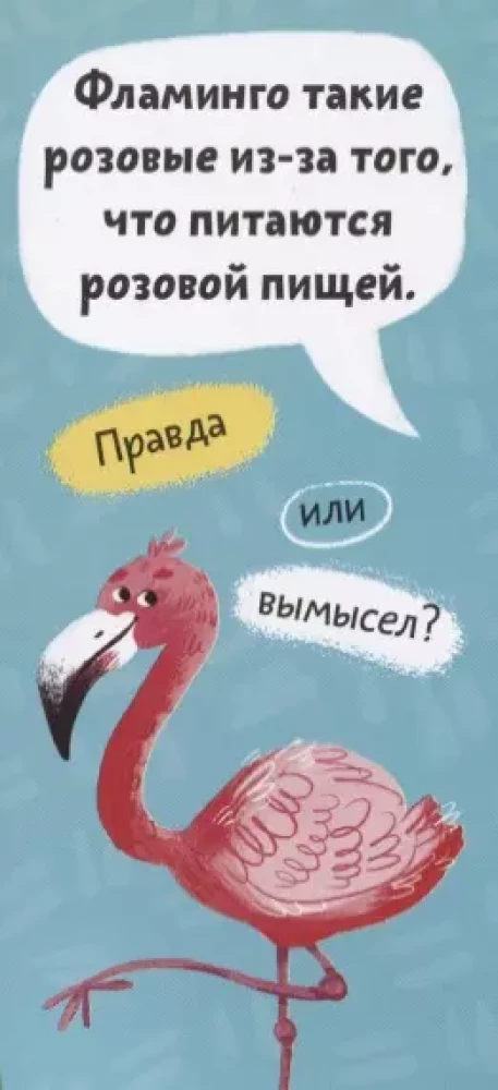 Pārsteidzoši dzīvnieki. Grāmata-ventilators bērniem