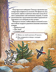 Historia Królewskiej Jodły (baśń z zadaniami i naklejkami)