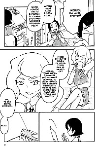 Experimentelle Ehe von Akari
