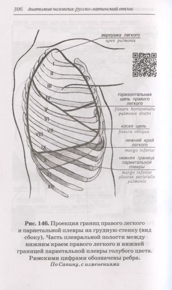 Anatomia człowieka: Atlas rosyjsko-łaciński z kodami QR