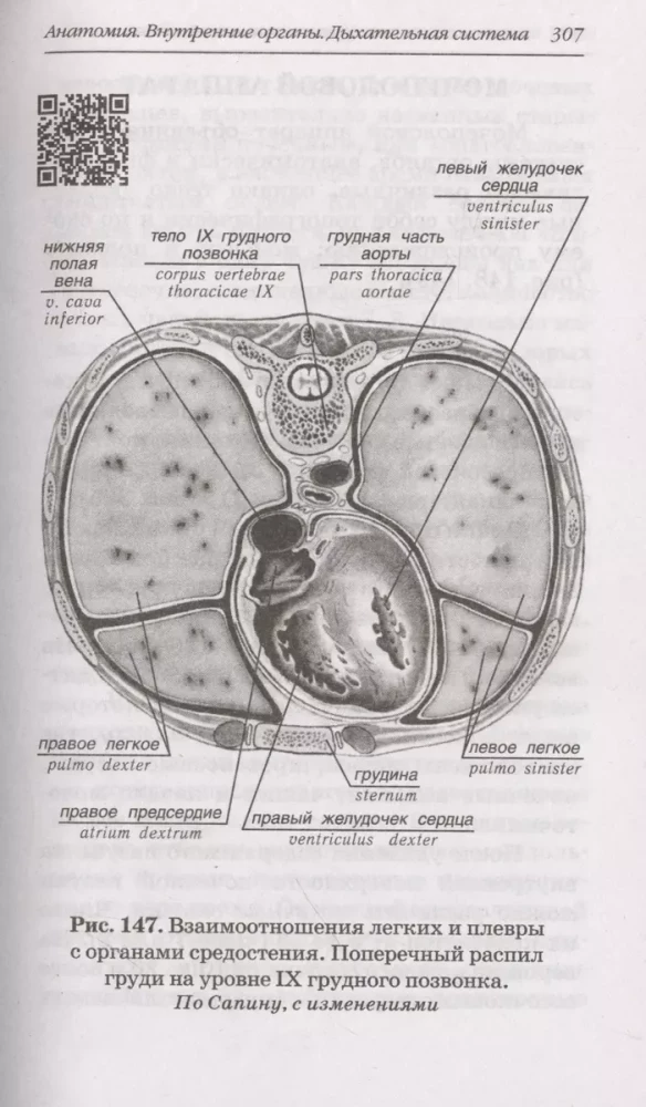 Anatomia człowieka: Atlas rosyjsko-łaciński z kodami QR