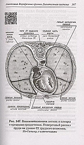 Anatomia człowieka: Atlas rosyjsko-łaciński z kodami QR